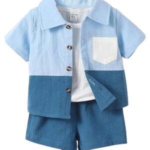 Stylish Boys Co ords Dress Set | Printed Shirts and Shorts for Kids Clothes