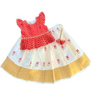 Embroidery Lehenga Choli Set